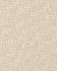 Canvas Untreated No12 Duck60in Natural by  Abbeyshea Fabrics 