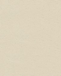 Canvas Untreated No10 Duck15oz 60in by  Abbeyshea Fabrics 