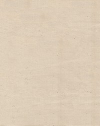Canvas Untreated White by  Abbeyshea Fabrics 