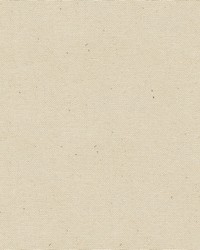 Canvas Untreated Army Duck White by   