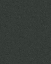 Capitano 513832 Cyberspace by  Abbeyshea Fabrics 