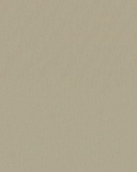 Capitano 513903 Sand Dollar by  Abbeyshea Fabrics 