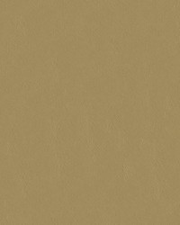 Capitano 513937 Totally Tan by  Abbeyshea Fabrics 