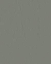 Capitano 517583 Cornerstone by  Abbeyshea Fabrics 