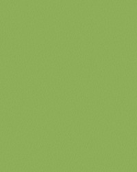 Capitano 517584 Daiquiri by  Abbeyshea Fabrics 