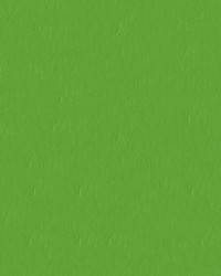 Capitano 517588 Parakeet by  Abbeyshea Fabrics 