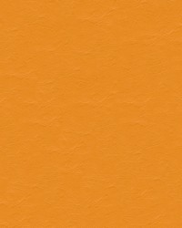 Capitano 517910 Mandarin by  Abbeyshea Fabrics 