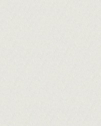 Capitano 519970 Beach White by  Abbeyshea Fabrics 