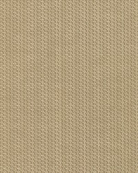 Chainmaille 215 GildedGauntlet by   