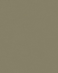 Chamea II 06 Stone by   