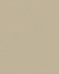 Chamea II 15 Buff by   