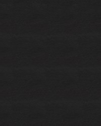 Chamea II 18 Black by   