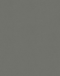 Chamea II 21 Dk. Pewter by   