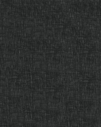 Ciao 908 Charcoal by   