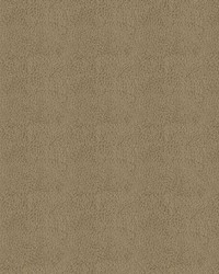 Claro 6009 Taupe by   