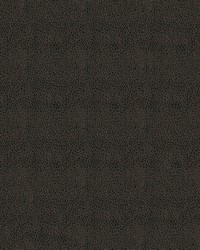 Claro 909 Charcoal by   