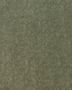 Abbeyshea Fabrics Comrade 205 Olive 