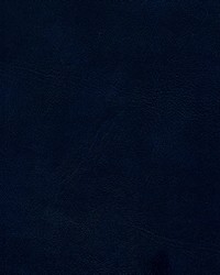 Corinthian 0103 Char Blue by   