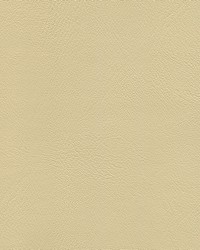 Corinthian 6984 Cappuccino Cre by   