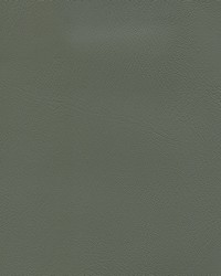 Corinthian 7180 Med Dk Pewter by   