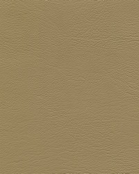 Corinthian 7182 Light Oak by   