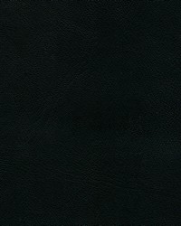 Corinthian 7292 Ebony by   