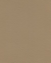 Corinthian 7462 Lt Cashmere by   