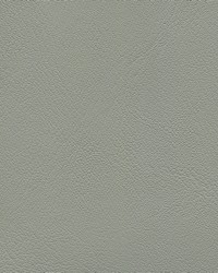 Corinthian 7562 Lt Titanium by   