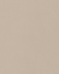 Corinthian Soft 7691 V Lt Cashmere by   