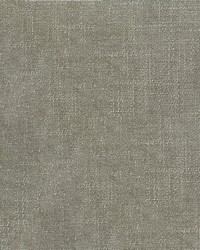 CRYPTON VENAL 91 Pewter by   