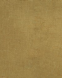 Denali 506 Nugget by   