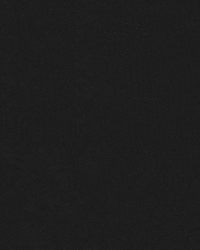 Detroit 601 Black by  Abbeyshea Fabrics 