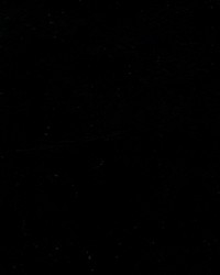 Doeskin 4849 Black by   