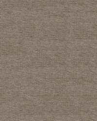 Elizabeth 608 Pumice by   