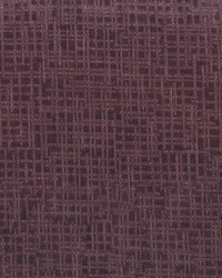 Embrace 309 Raisin by   