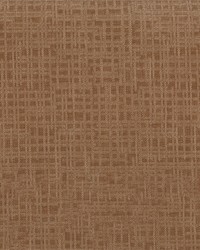 Embrace 44 Ginger by   