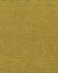 Carter Chartreuse by   