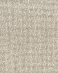 Elevate Stucco by  Abbeyshea Fabrics 