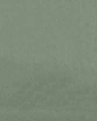 Endurepel Franklin 202 Sage by   