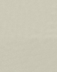 Endurepel Franklin 601 Oyster by   