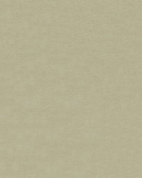 Endurepel Intrigue 601 Oyster by   