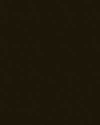 English Pub 84 Sable Brown by   