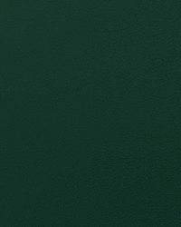 Envision 004 Billiard by   