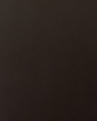 Envision 005 Bittersweet by   