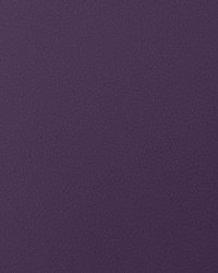 Envision 007 Concord by   