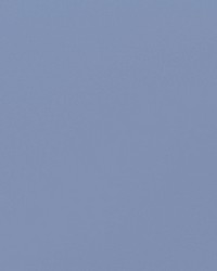 Envision 008 Dove by   