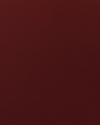 Envision 011 Grenache by   