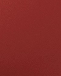 Envision 012 Hibiscus by   