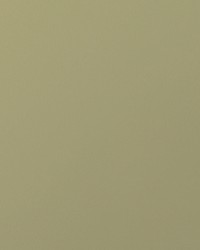 Envision 014 Honeydew by   