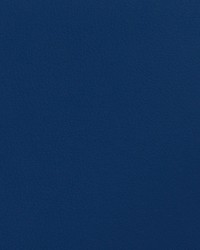 Envision 017 Lapis by   